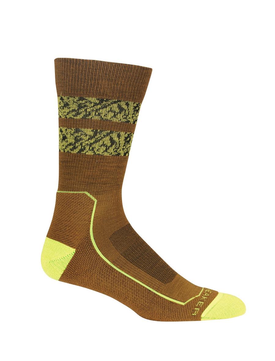 Men's Icebreaker Merino Hike+ Light Crew Natural Summit Socks Clove / Shine | CA 1940DFMN